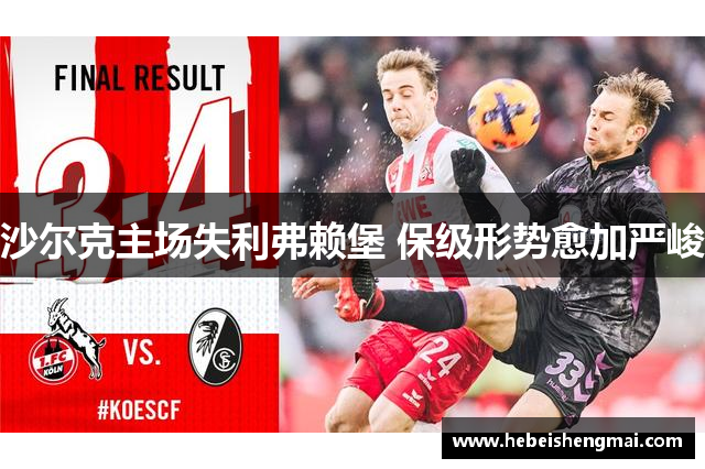 沙尔克主场失利弗赖堡 保级形势愈加严峻