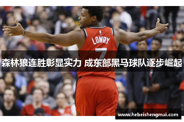 森林狼连胜彰显实力 成东部黑马球队逐步崛起