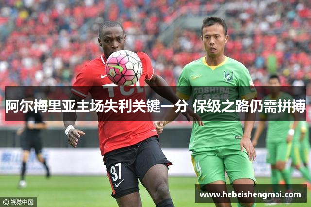 阿尔梅里亚主场失利关键一分 保级之路仍需拼搏