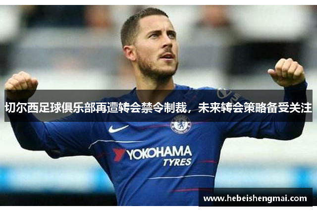 切尔西足球俱乐部再遭转会禁令制裁，未来转会策略备受关注