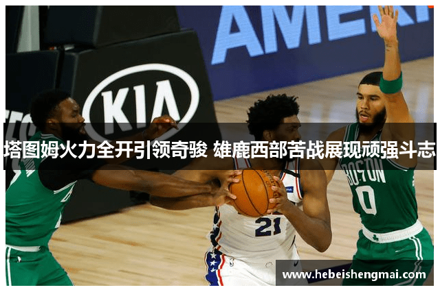 塔图姆火力全开引领奇骏 雄鹿西部苦战展现顽强斗志