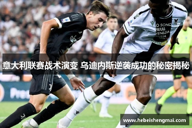 意大利联赛战术演变 乌迪内斯逆袭成功的秘密揭秘