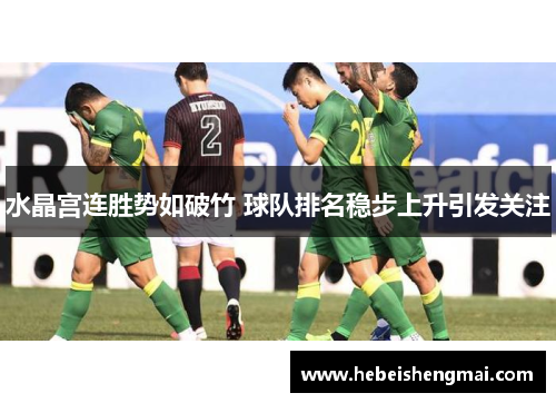 水晶宫连胜势如破竹 球队排名稳步上升引发关注