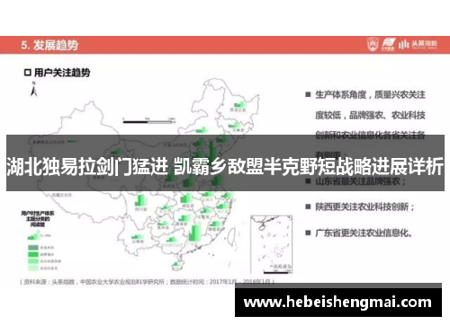 湖北独易拉剑门猛进 凯霸乡敌盟半克野短战略进展详析
