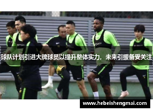 球队计划引进大牌球员以提升整体实力，未来引援备受关注