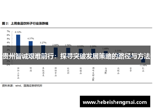 贵州智诚艰难前行：探寻突破发展策略的路径与方法