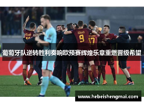葡萄牙队逆转胜利奏响欧预赛辉煌乐章重燃晋级希望