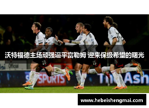 沃特福德主场顽强逼平富勒姆 迎来保级希望的曙光