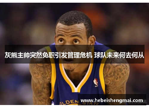 灰熊主帅突然免职引发管理危机 球队未来何去何从