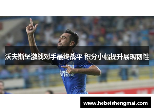沃夫斯堡激战对手最终战平 积分小幅提升展现韧性