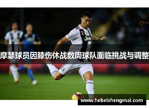 摩瑟球员因膝伤休战数周球队面临挑战与调整