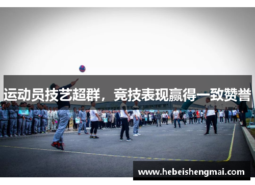 运动员技艺超群，竞技表现赢得一致赞誉