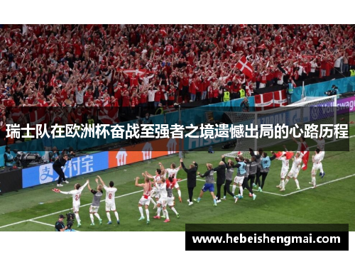 瑞士队在欧洲杯奋战至强者之境遗憾出局的心路历程