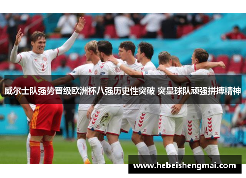 威尔士队强势晋级欧洲杯八强历史性突破 突显球队顽强拼搏精神