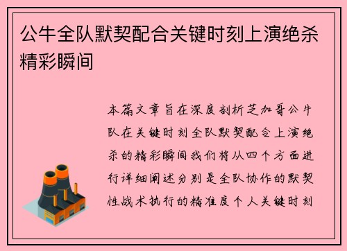 公牛全队默契配合关键时刻上演绝杀精彩瞬间