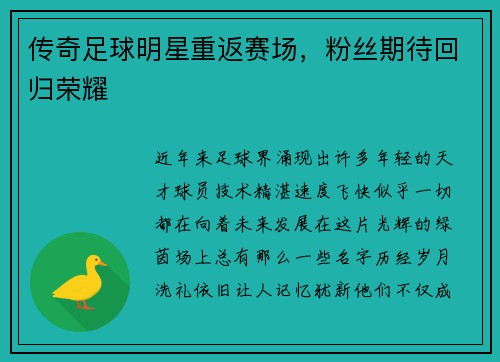 传奇足球明星重返赛场，粉丝期待回归荣耀
