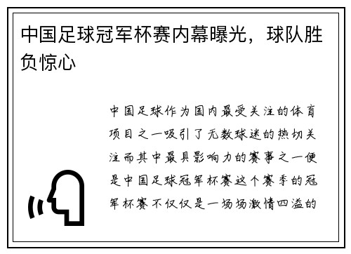 中国足球冠军杯赛内幕曝光，球队胜负惊心