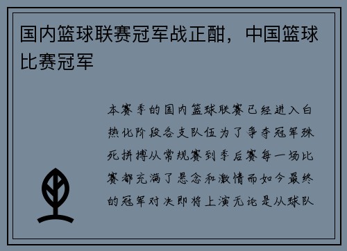国内篮球联赛冠军战正酣，中国篮球比赛冠军